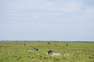 DSC5609-300x200.jpg